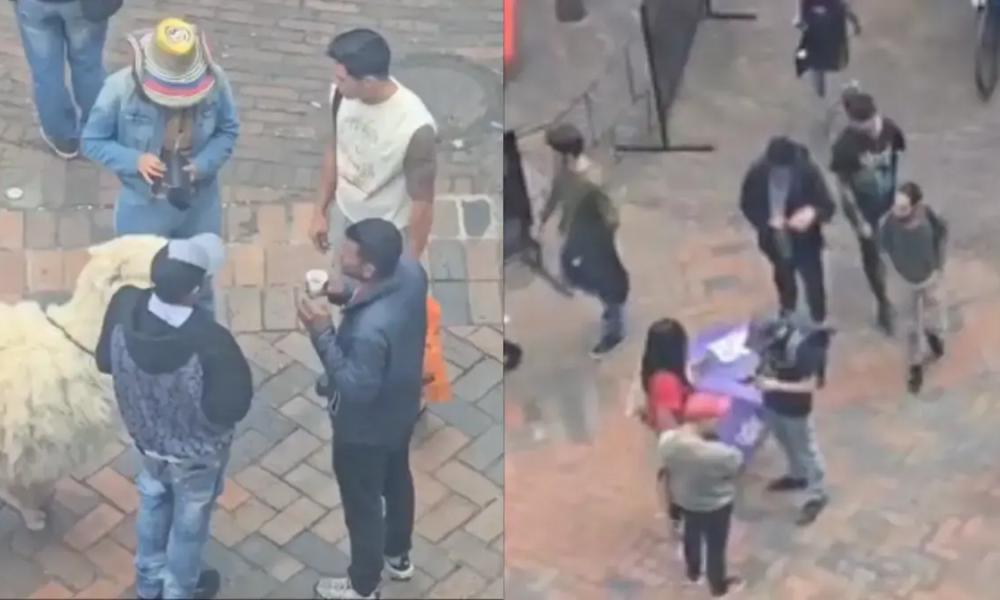 ¡Vuelve y Juega! Nueva Denuncia por Explotacia de Llamas en el Centro Histórico de Bogotá: Estaría Extorsionando Turistas