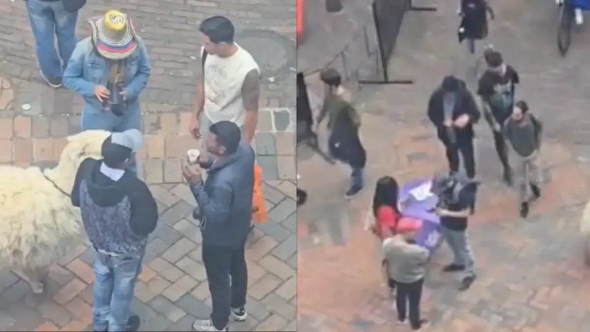 ¡Vuelve y Juega! Nueva Denuncia por Explotacia de Llamas en el Centro Histórico de Bogotá: Estaría Extorsionando Turistas