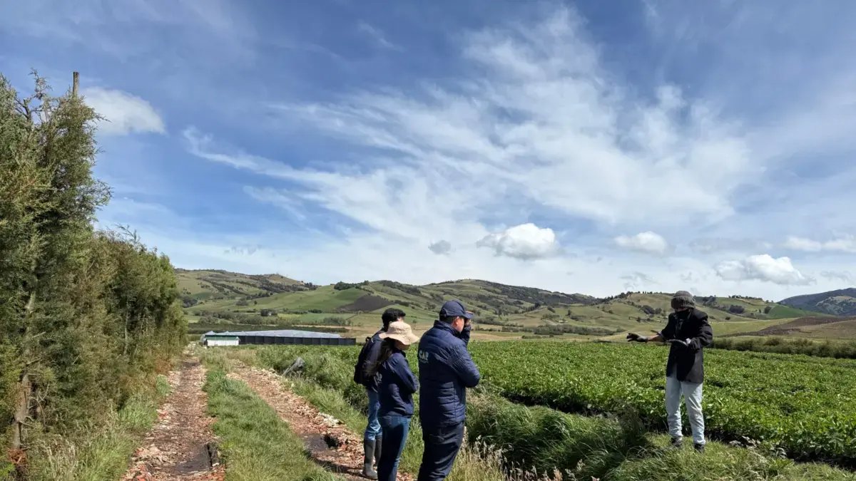 CAR SUSPENTE CULTIVO DE ROSAS EN ÁRA PROTEGIDA DE Páramo en Zipaquirá