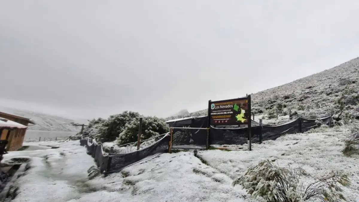 Prenden alarmas soltorado efectos de Cambio climático que también impacta al parque los nevados Tras histórica nevada: las razones de la afectación
