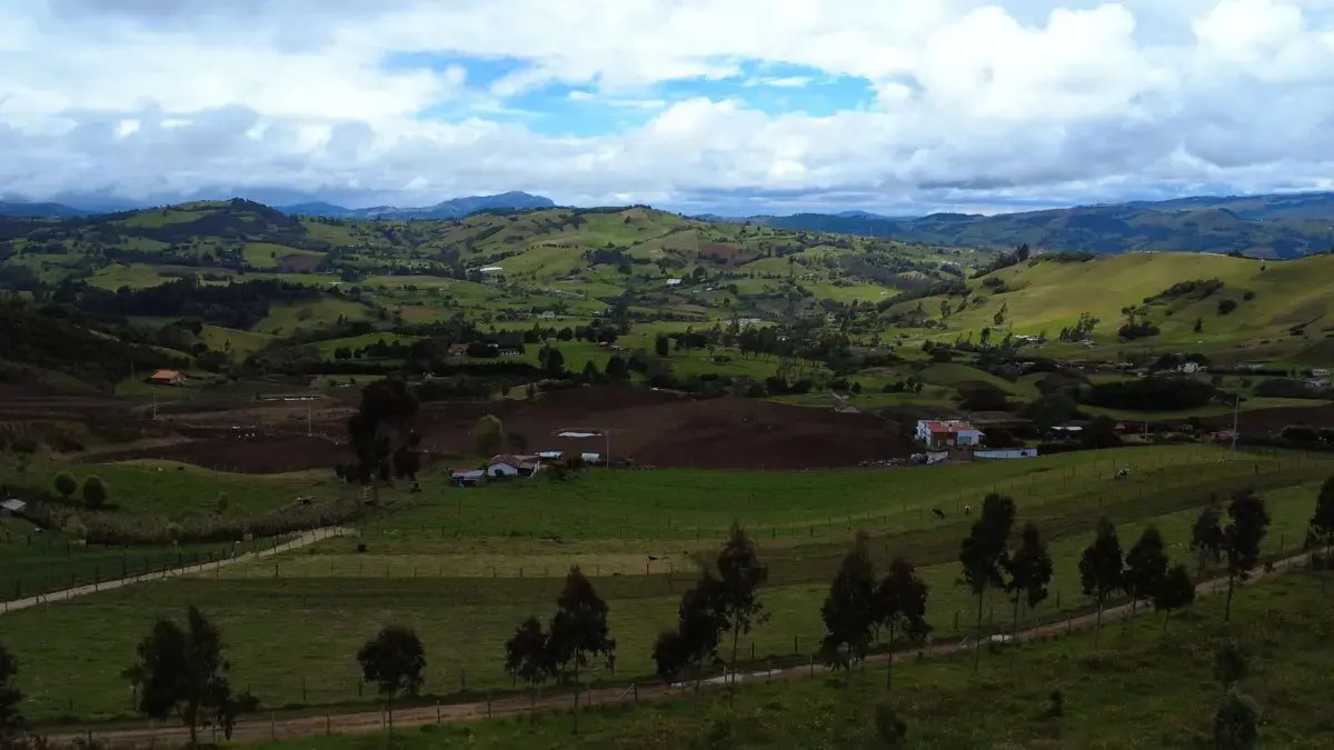 El Río Bogotá Avanza en Su RECUPERACIÓN CON 4.200 MILLONES DE PESOS RESTAURAR DEL RESTAURAR 150 HECTÁREAS Y MITIGAR DIROS EN LA CUENCA ALTA DEL CUERPO HÍRICO
