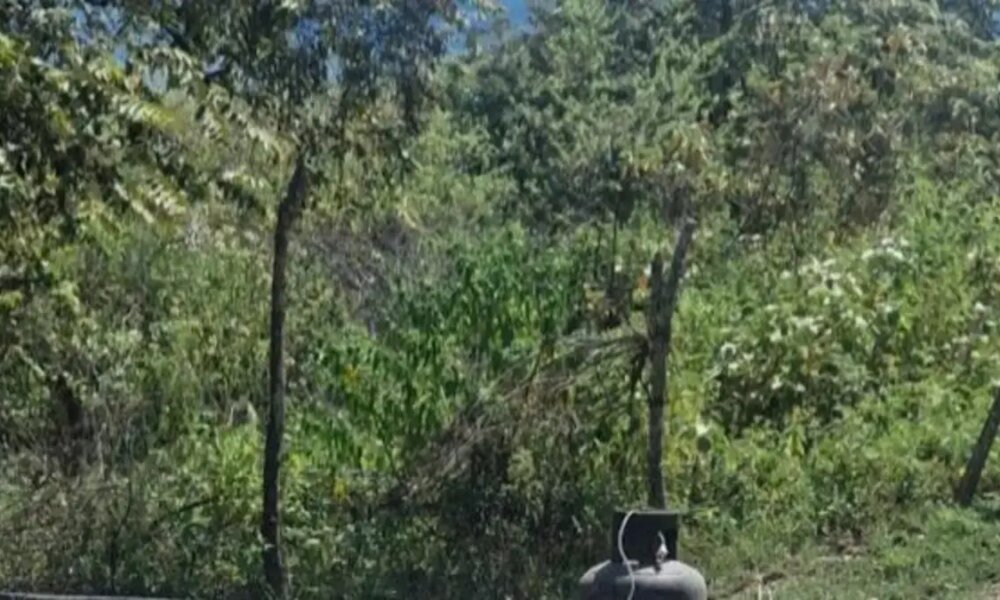 Autoridadas Verifican El Contenido de Un Sospechoso Elemento