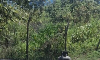 Autoridadas Verifican El Contenido de Un Sospechoso Elemento