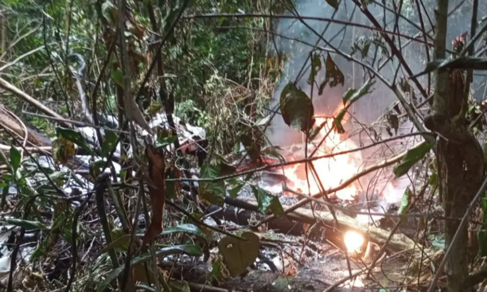 Piloto y Tres Personas Más Mueren Tras la Caída de Una Aeronave Cessna 206