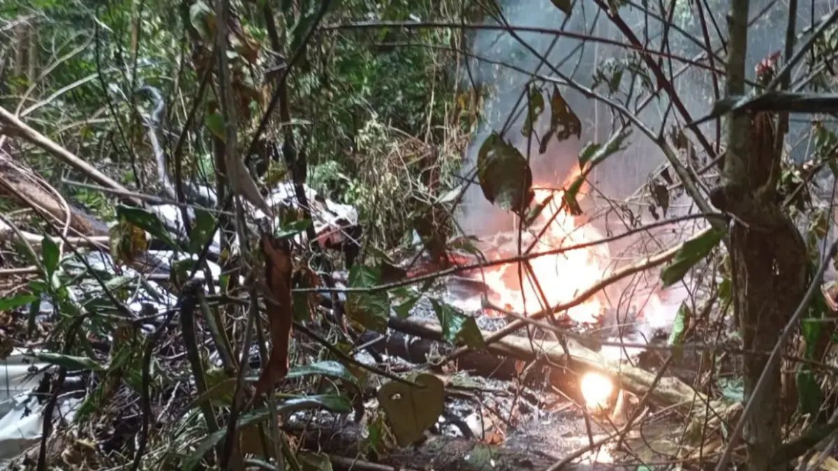 Piloto y Tres Personas Más Mueren Tras la Caída de Una Aeronave Cessna 206