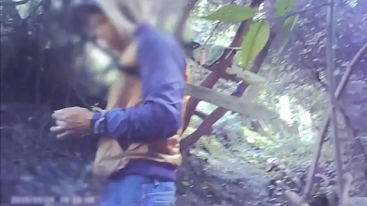 Cayeron 'Los Tideo', La Banda Que Usaba Menores para Vender Droga Cerca de Colegios EN