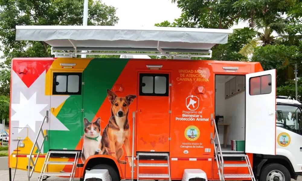 'Un Salto Histórico de Quienes no Tienen Voz'