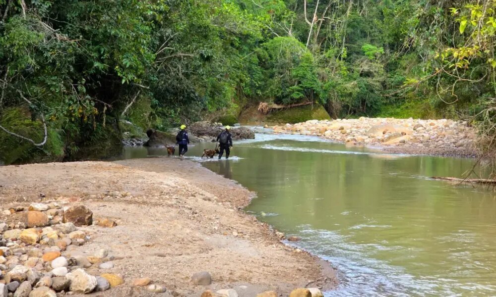 Su Madre y Su Abuela Ya Fueron Halladas Sin Vida