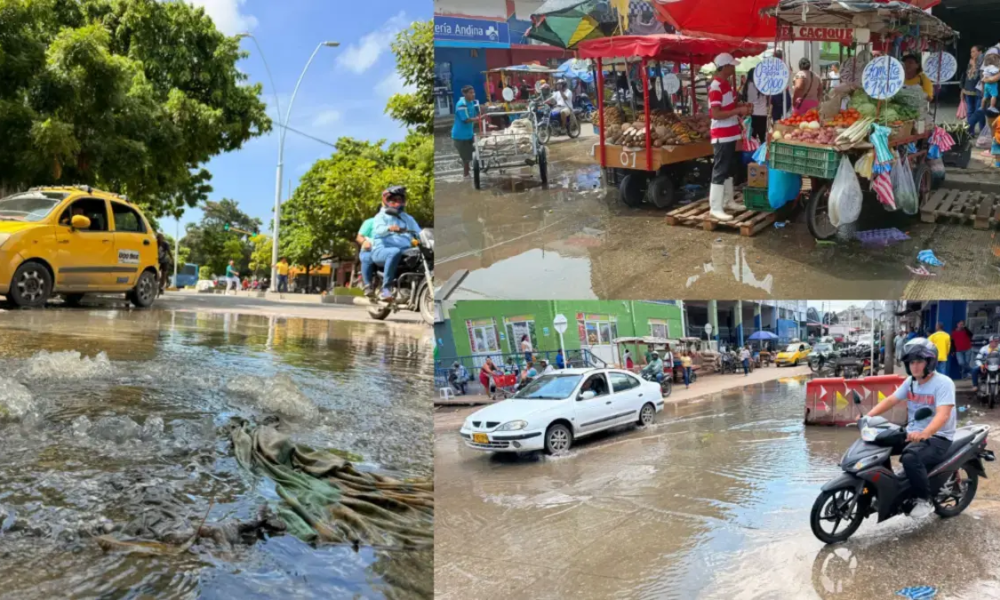 La Pesadilla de los Comerciantes y Usuarios del Mercado Público de Santa Marta