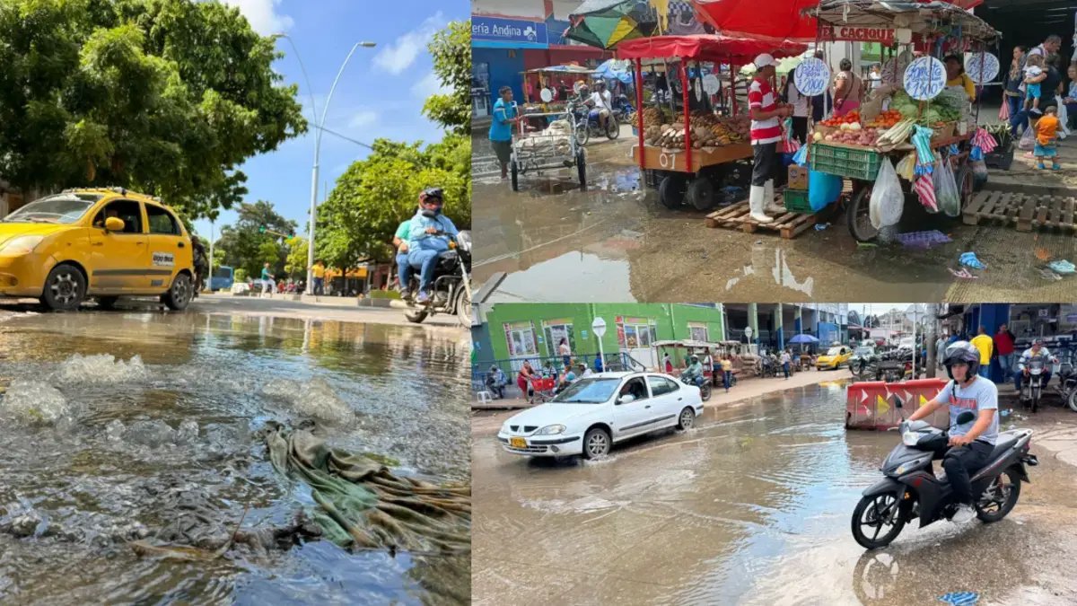 La Pesadilla de los Comerciantes y Usuarios del Mercado Público de Santa Marta