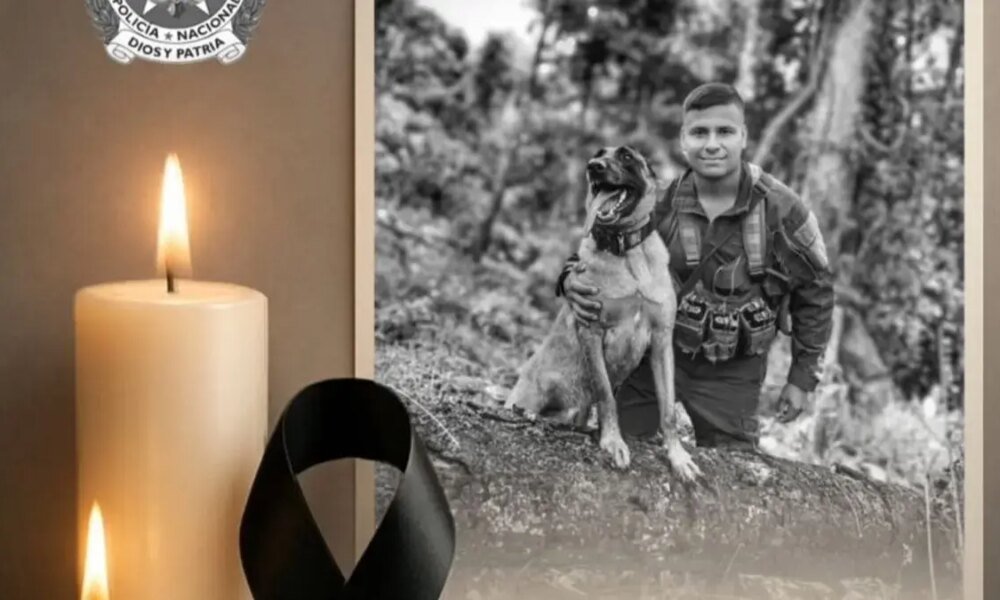 Su Historia de Lealtad y Amor