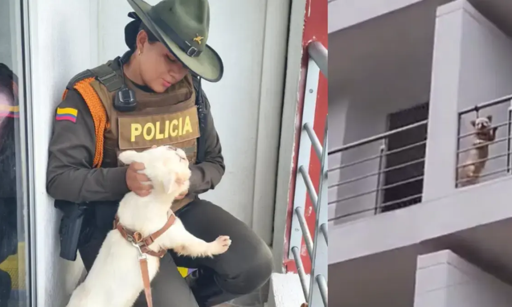 Autoridadas Rescataron A Perrito que Estaba Amarrado en El Balcón de Un conjuntos Residenciales en Yopal, Casanare