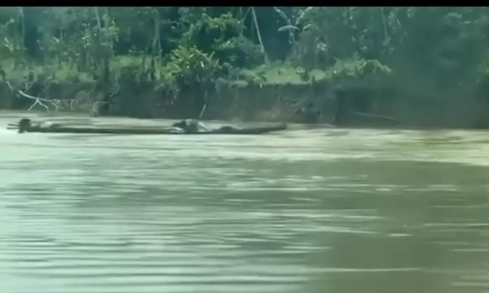 Fuerzas Navales Frustran Ataque Con Emarcación Explosiva en El Río Guaviare: No SE Registro Víctimas