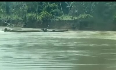 Fuerzas Navales Frustran Ataque Con Emarcación Explosiva en El Río Guaviare: No SE Registro Víctimas