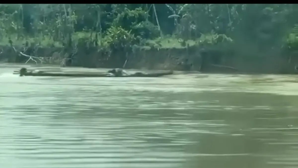 Fuerzas Navales Frustran Ataque Con Emarcación Explosiva en El Río Guaviare: No SE Registro Víctimas