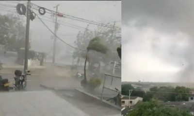 Devastador Vendaval Causa Emergencia en El Municipio de Soledad: Casas Destechadas, Árboles Caídos y Cortes de Energía