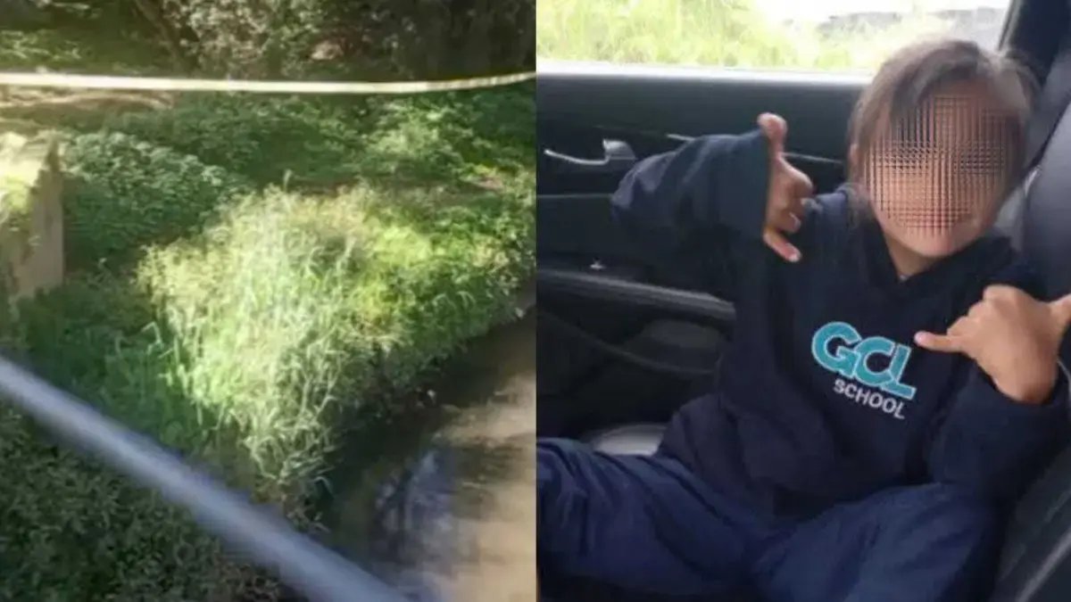 Esta es la Hipótesis principal en el Caso de Valeria Afanador Tras Encontrario Su Cuerpo en Rio Frío, Cajicá: Abogado Reveló Nuevo Detales