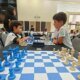 Barranquilla Celebró A Los Finalistas Del Vii Torneo de Ajedrez del Caribe "A la Rueda Rueda"