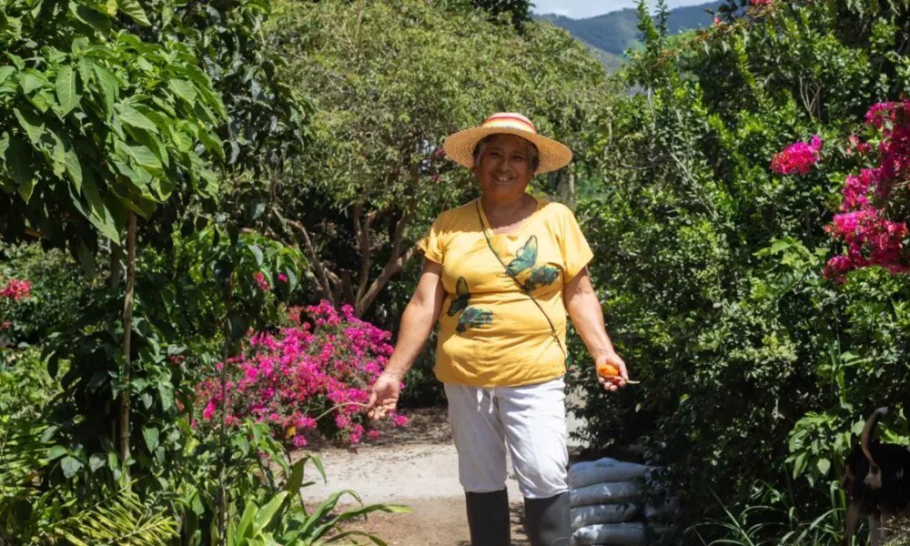La Sabiduría Innata de Una Campesina de Nariño la Llevará Hasta El LeJano Japón, Con Su Experimencia Exitosa del 'Bosque Comestible'