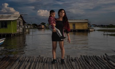 Viaje A Buenavista y Nueva Venecia, Pueblos PalafÍticos del Caribe Donde el Manglar es Vida, Poesía y Realismo Mágico