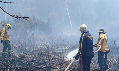 Isla Salamanca, La Reserva Natural Que Ya Ha Perdido más de 1.130 hectáreas A causa de incendios