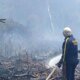 Isla Salamanca, La Reserva Natural Que Ya Ha Perdido más de 1.130 hectáreas A causa de incendios