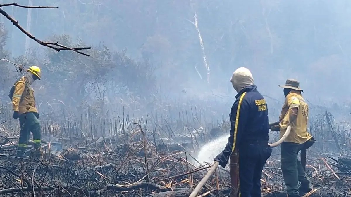 Isla Salamanca, La Reserva Natural Que Ya Ha Perdido más de 1.130 hectáreas A causa de incendios