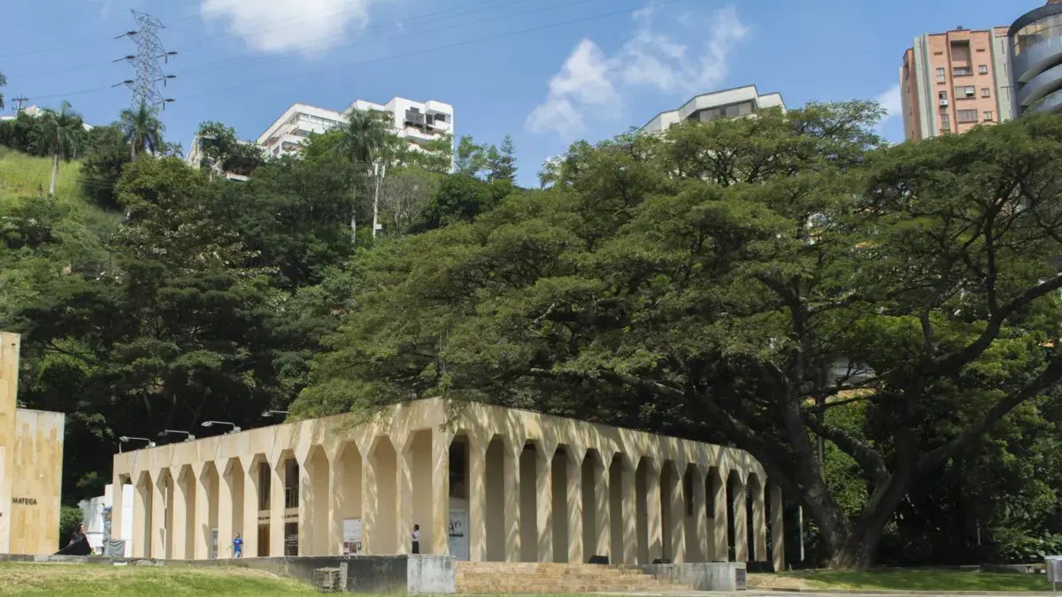 Algunos Ciudadanos se Ocularon Tras Los Árboles; lo que se sabe