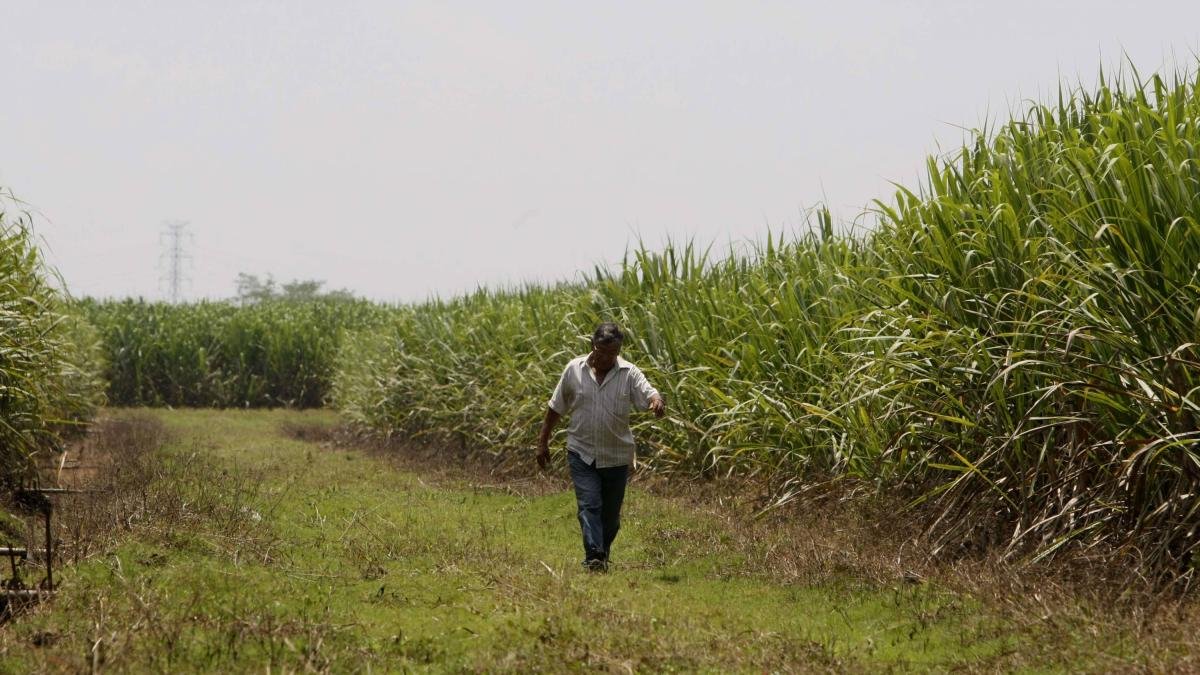 Trabajador de Ingenio Azucarero en el Valle Está Gravemento Herido, Tras Ataque Con disparos, Al Parecer, en Un Robo: Asocaña Rechazó Nuevo Atentado