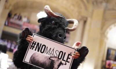 Tienen Tres años para replantear Modelo