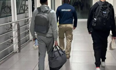 Circular de Tenía Roja de Interpol