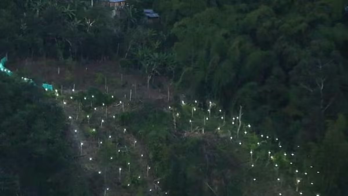 Este dijo la Gobernadora del Valle Sobre la Propuesta del Presidente Gustavo Petro de Volver a Las fumigunciones con Glifosato: ¿Está de Acuerdo?