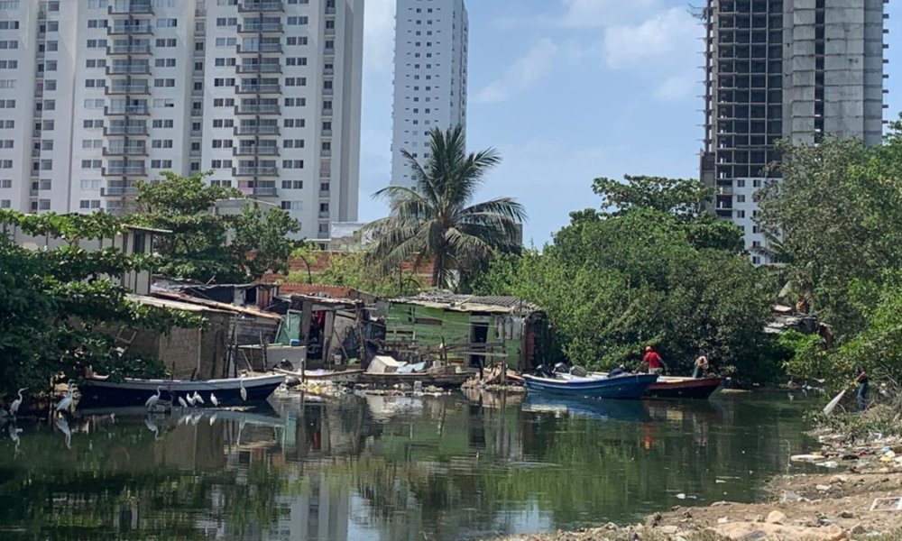 Cartagena Inicia en Octubre Política Pública Para Letalizar Más de 200 Asentamientos y Frenar la Invasión de Tierras y Manglares