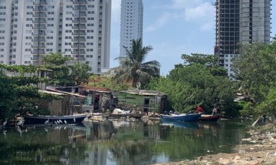 Cartagena Inicia en Octubre Política Pública Para Letalizar Más de 200 Asentamientos y Frenar la Invasión de Tierras y Manglares