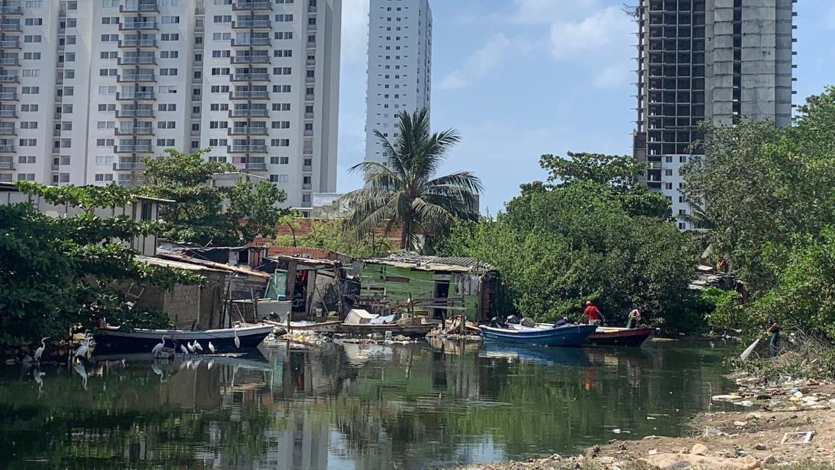 Cartagena Inicia en Octubre Política Pública Para Letalizar Más de 200 Asentamientos y Frenar la Invasión de Tierras y Manglares
