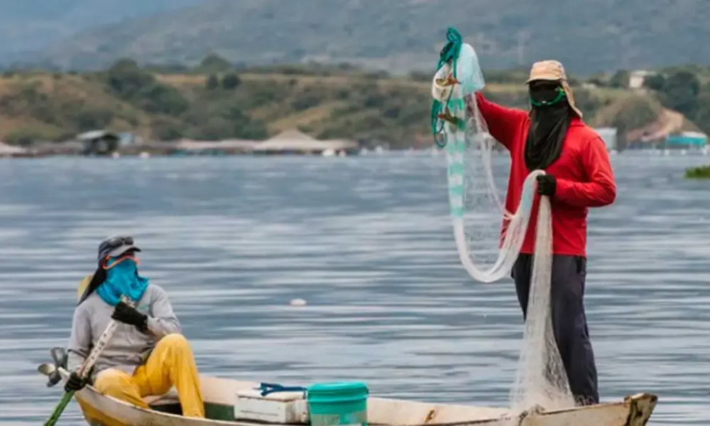 El Contrato de Pesca en Barrancabermeja que tie en la Mira la contraloría por Elevados Costos en kits y Talleres que se pagan, Pero no se hiceron