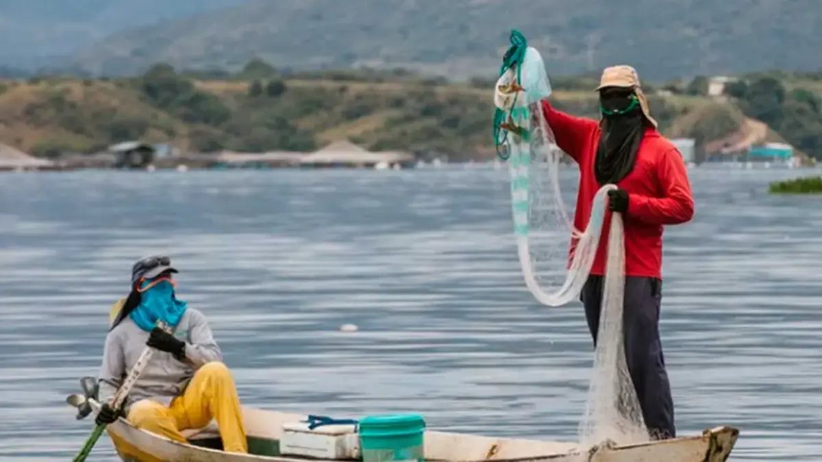 El Contrato de Pesca en Barrancabermeja que tie en la Mira la contraloría por Elevados Costos en kits y Talleres que se pagan, Pero no se hiceron