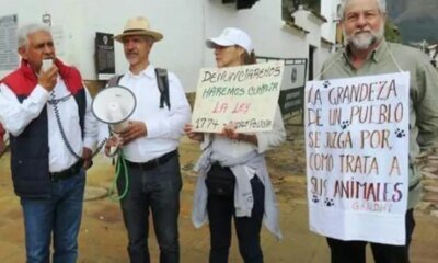 Rechazo de la Comunidad Que Pide DRÁSTICO CASTIGO POR CRUELDAD HACIA EL ANIMA