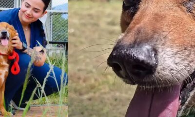 LUEGO DE DOS Años de Búsqueda de Adopció Encontró una familia