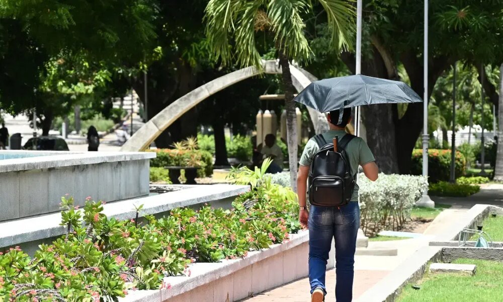 Con Drones, Inventarios de Árboles y Mediciones de Calor, en Barranquilla Diseñan APP para Caminar por Rutas Sombreadas Durante la Ola de Calor