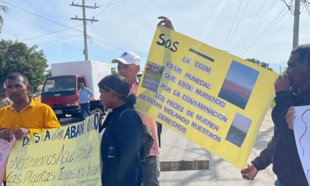 Nueva Venecia, Atrapada Entre El Agua y la Maleza: El Pueblo Palicogo que Podría Desaparecer