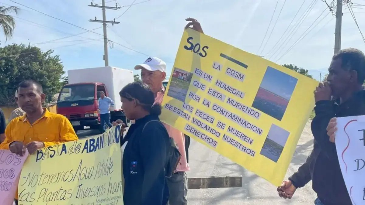 Nueva Venecia, Atrapada Entre El Agua y la Maleza: El Pueblo Palicogo que Podría Desaparecer