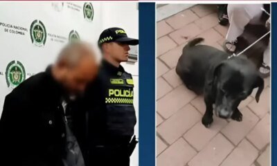 Hombre en Bogotá Se Robaba A Las Mascotas de Vecinos para Cometer Aberrantes Actos Sexuales en Conta de Los Animales: Comunidad Exige Justicia