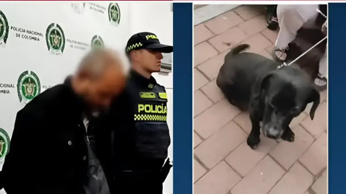 Hombre en Bogotá Se Robaba A Las Mascotas de Vecinos para Cometer Aberrantes Actos Sexuales en Conta de Los Animales: Comunidad Exige Justicia