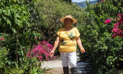 La Sabiduría Innata de Una Campesina de Nariño la Llevará Hasta El LeJano Japón, Con Su Experimencia Exitosa del 'Bosque Comestible'