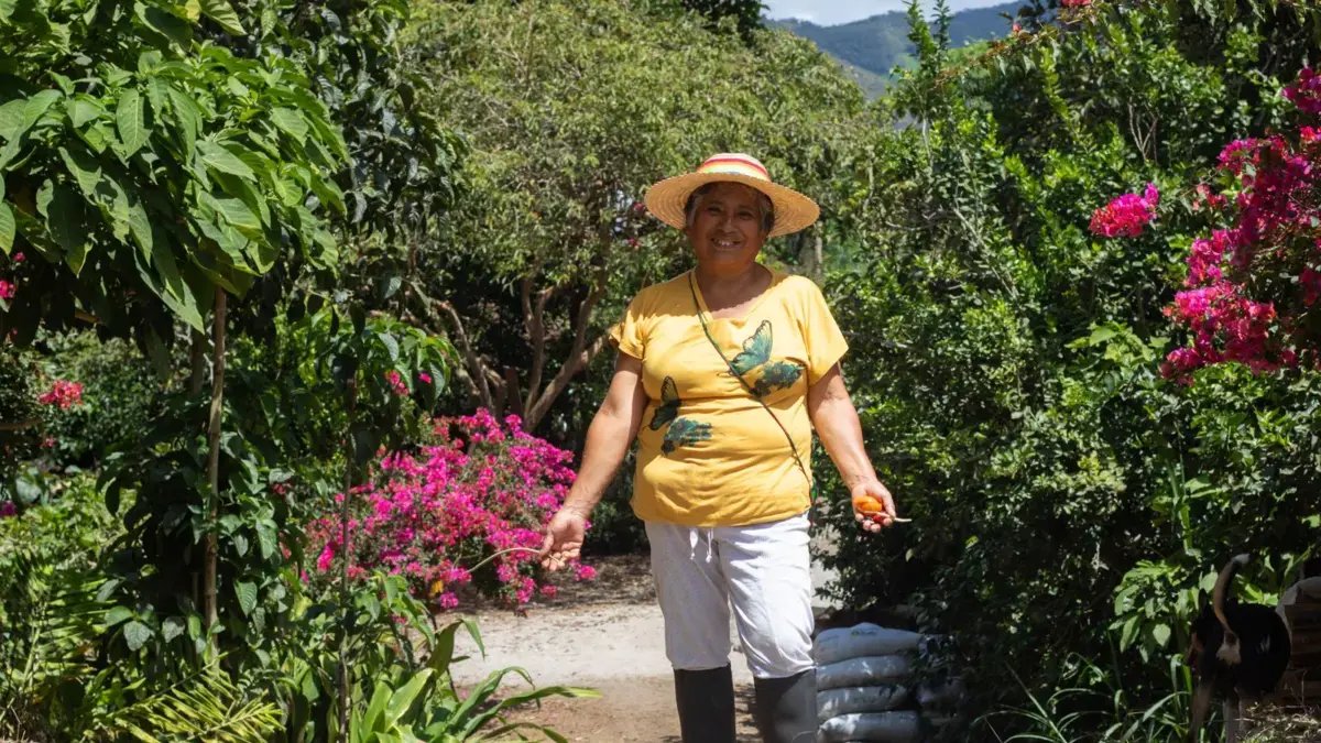 La Sabiduría Innata de Una Campesina de Nariño la Llevará Hasta El LeJano Japón, Con Su Experimencia Exitosa del 'Bosque Comestible'