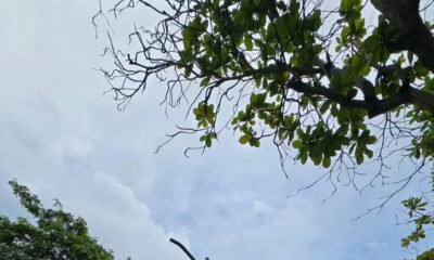 El Robo Sistemós de Luminarias Golpea A Los Parques de Barranquilla