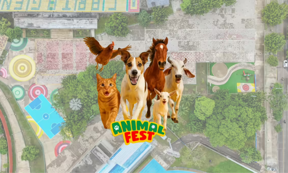 La Ciudad Vivirá Su Primer Gran Festival Dedicado Al Bienestar, Cuidado y Amor por Los Animales