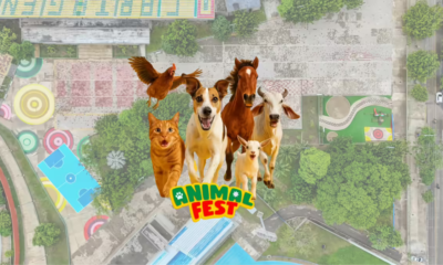 La Ciudad Vivirá Su Primer Gran Festival Dedicado Al Bienestar, Cuidado y Amor por Los Animales