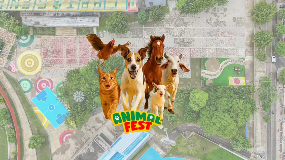 La Ciudad Vivirá Su Primer Gran Festival Dedicado Al Bienestar, Cuidado y Amor por Los Animales